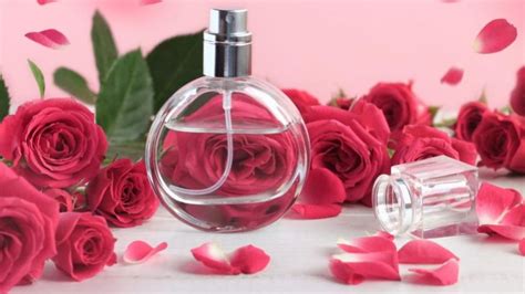 Cómo hacer Perfume de Rosas casero .